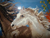 /album/fotogaleria/caballos-detalle-de-acabado-posterior-5-jpg/
